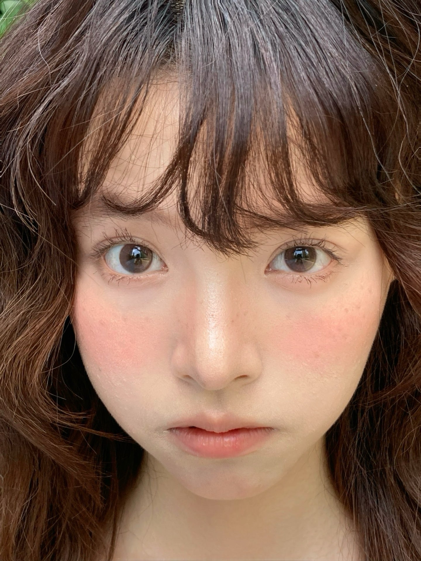 PINK X BROWN 补光灯 14.2mm