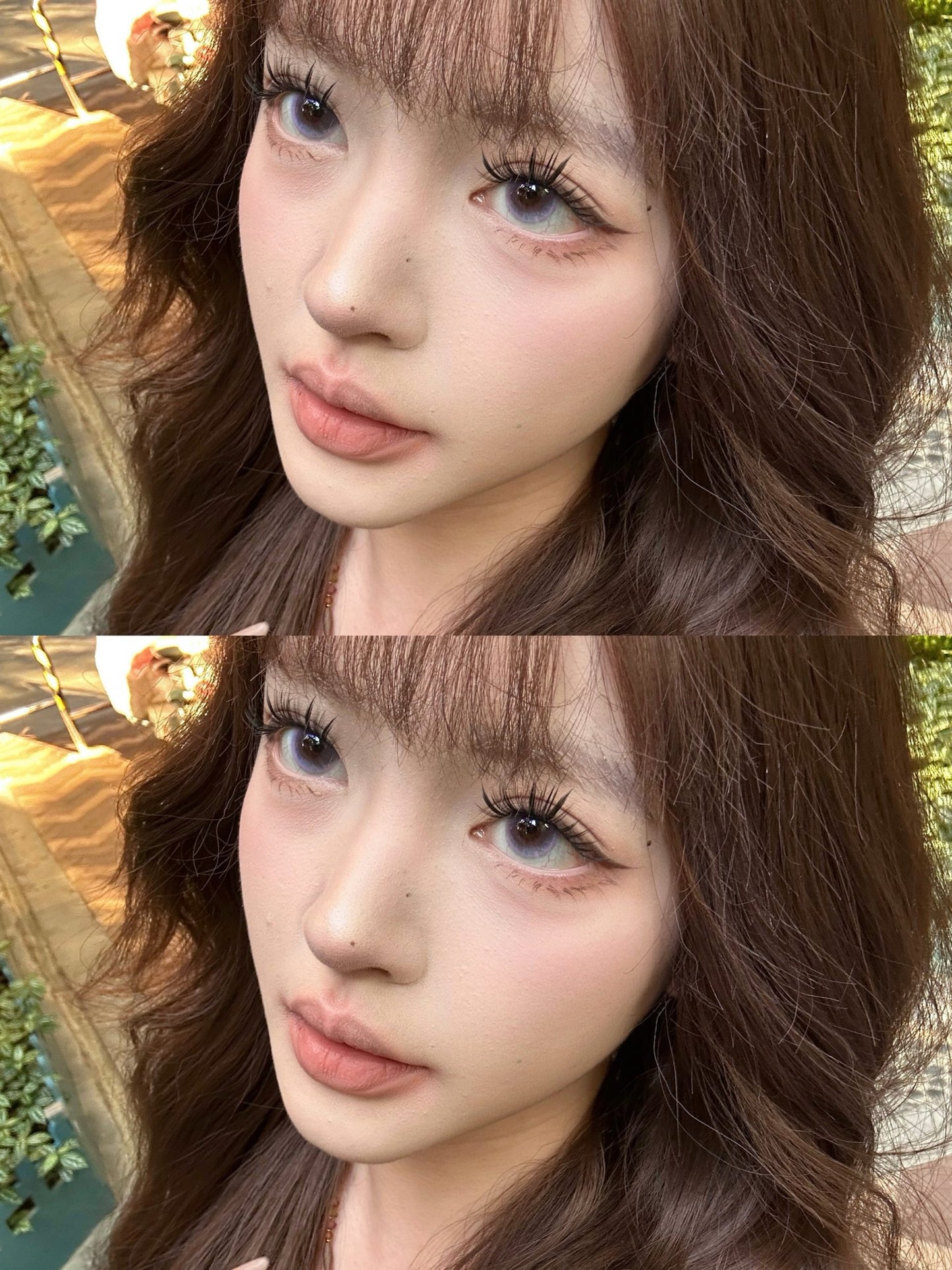 FayeViolet 紫藤仙 14.5mm