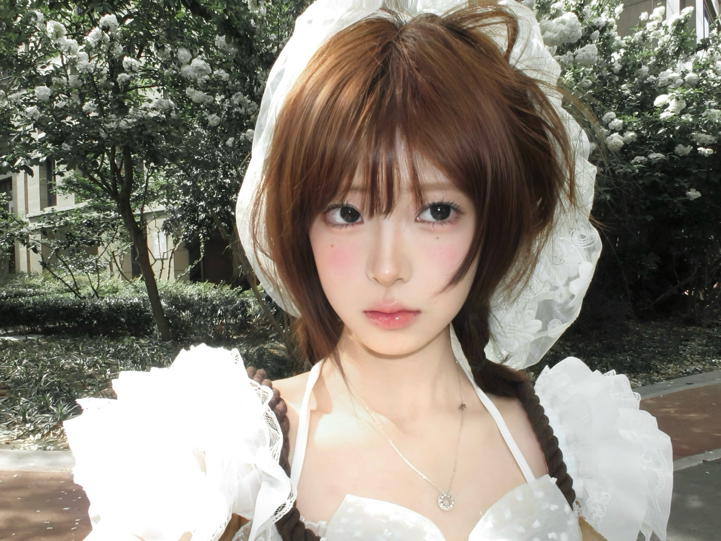 LemonTart 星光柠檬塔 14.2mm