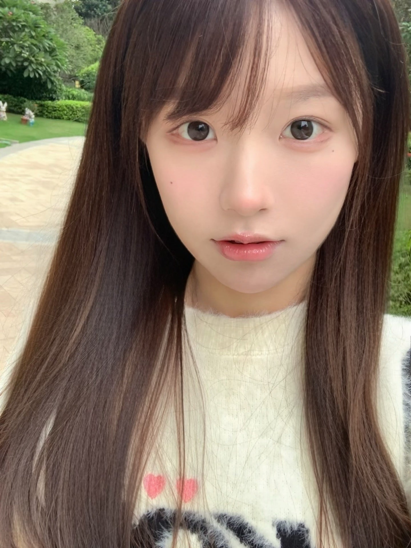 GitrusChoco 微醺甜杏 14.5mm