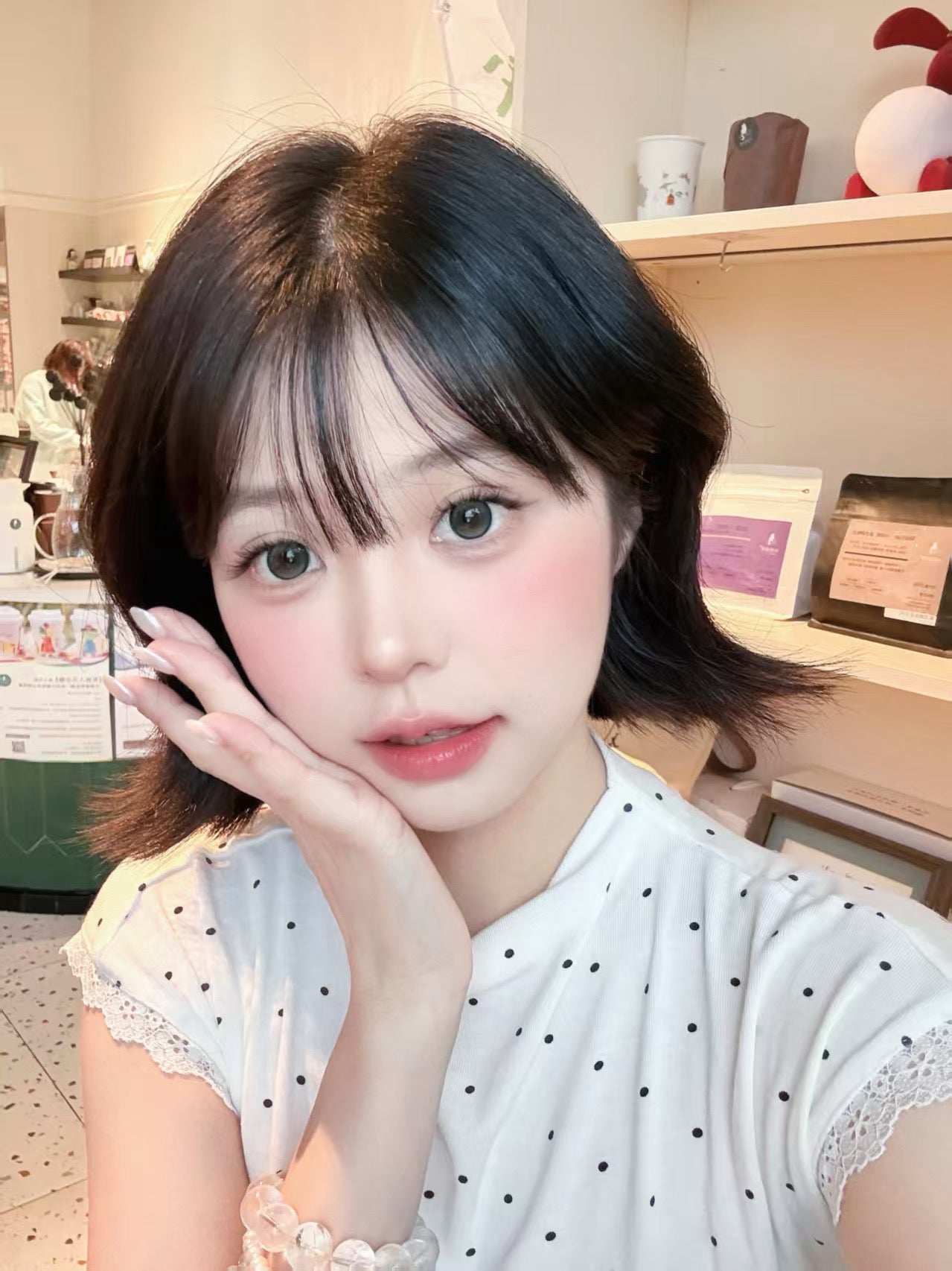放青松 14.2mm
