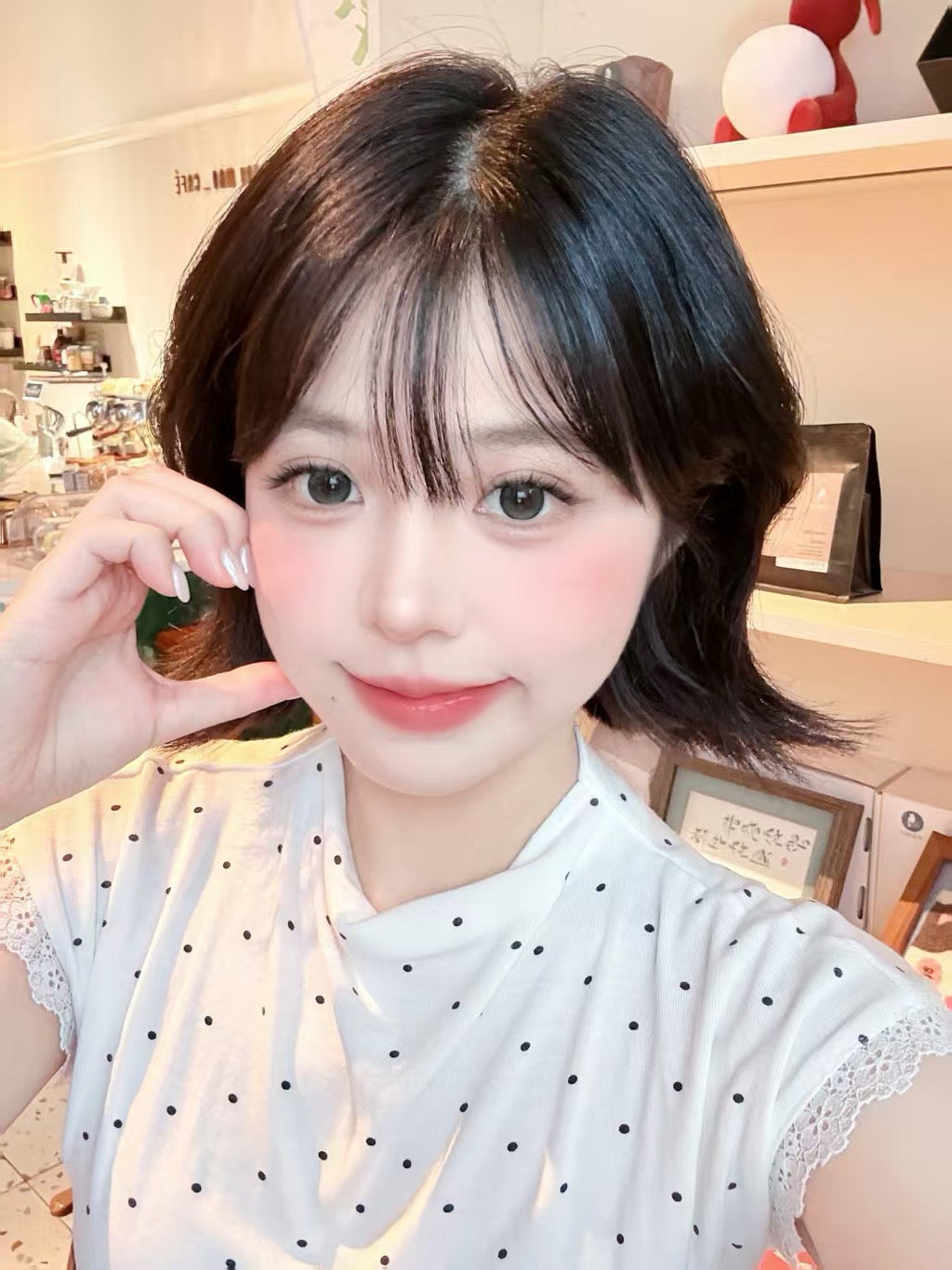 放青松 14.2mm