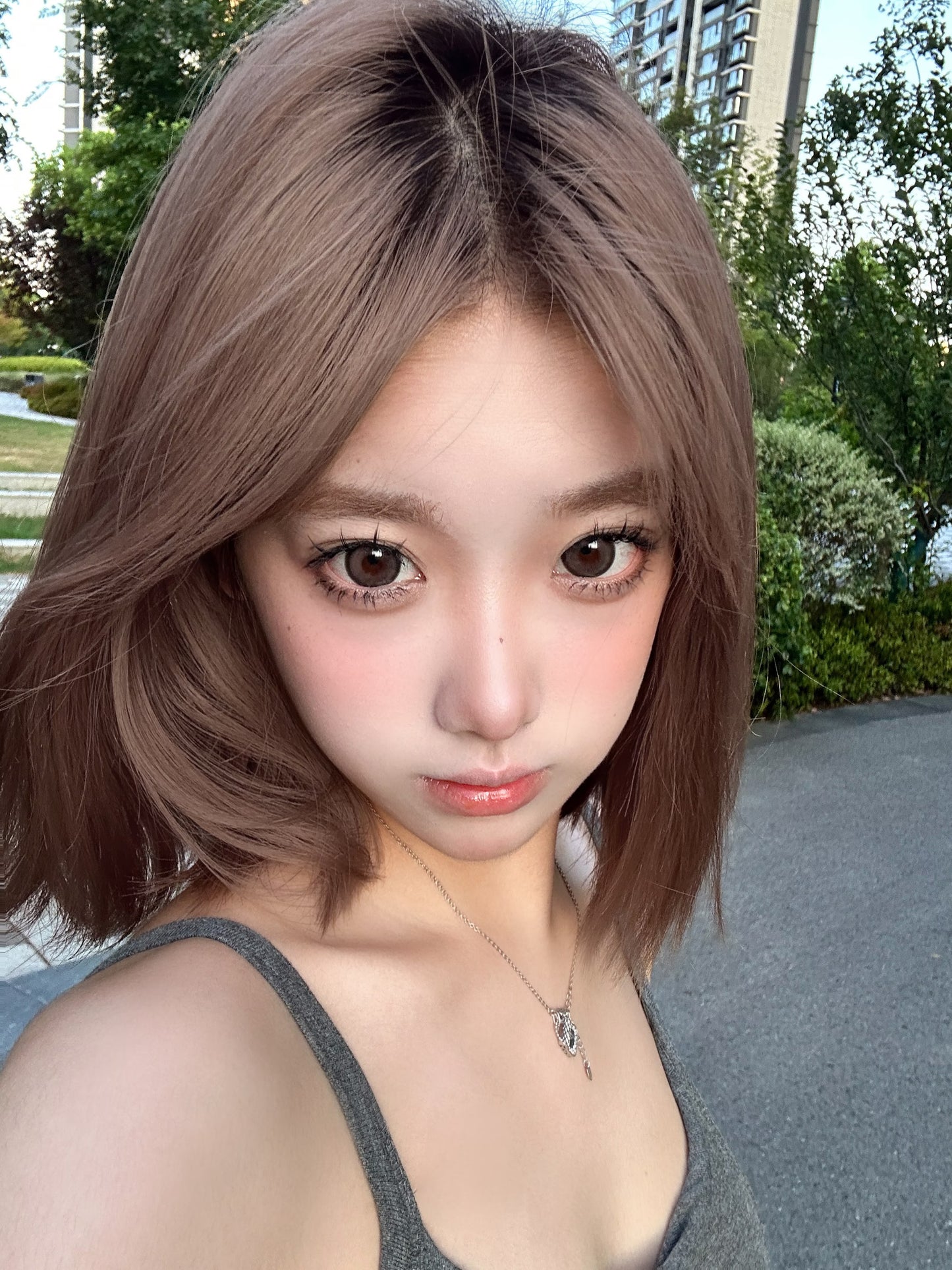 软耳卷尾猫 14.5mm