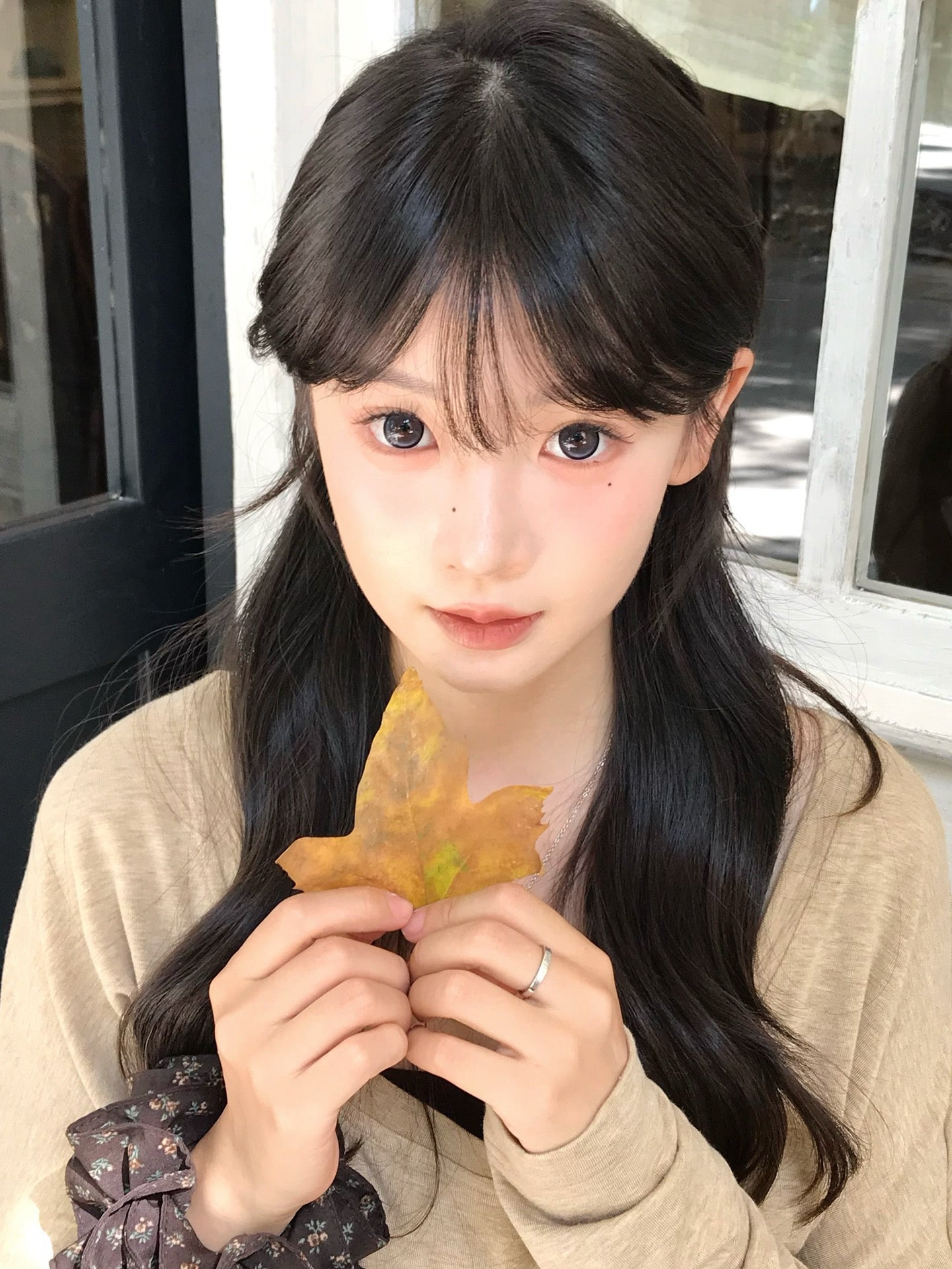 Jellyfish 泪水母 14.5mm