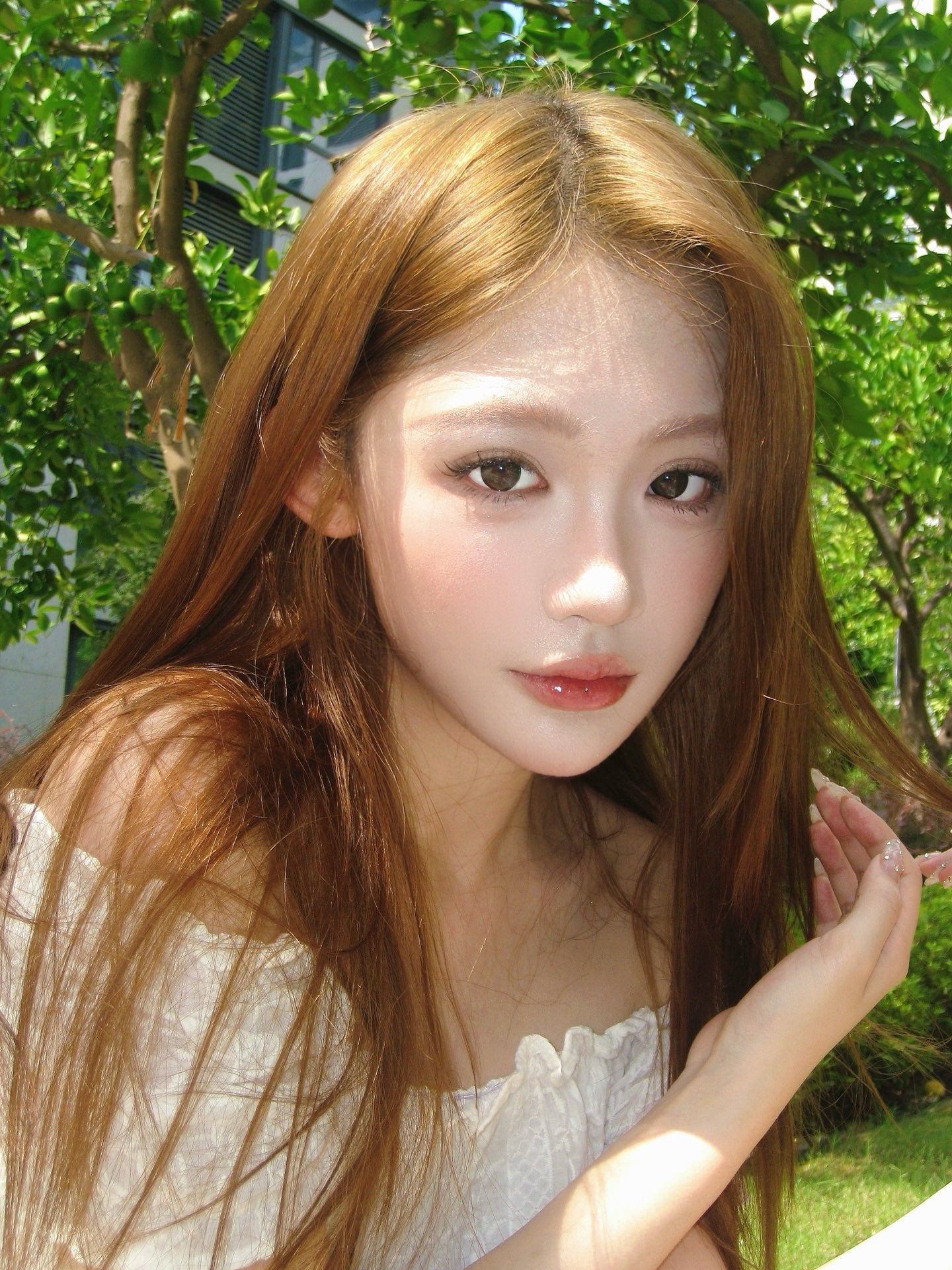 Sunset 流浪晚霞 14.2mm