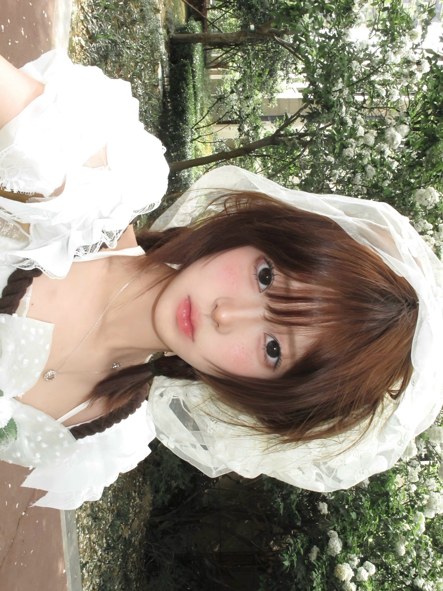 LemonTart 星光柠檬塔 14.2mm