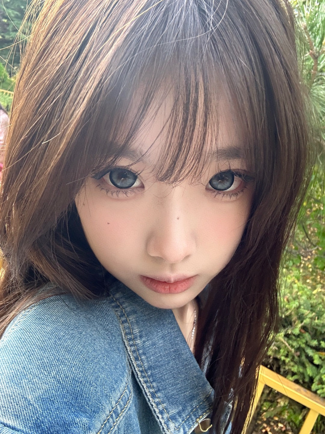 芝麻酒窝 14.5mm【半年抛】