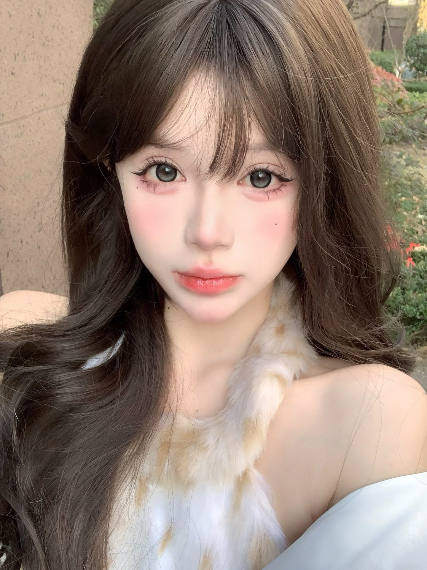 甜萌黑糖 14.5mm【半年抛】