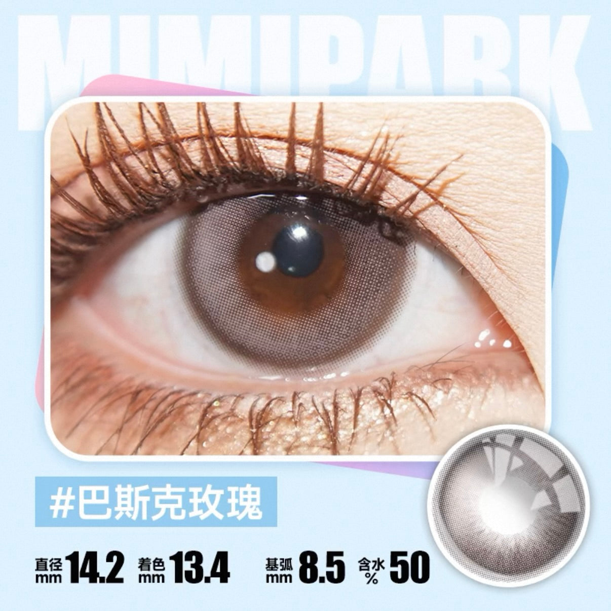 BasqueRose 巴斯克玫瑰 14.2mm