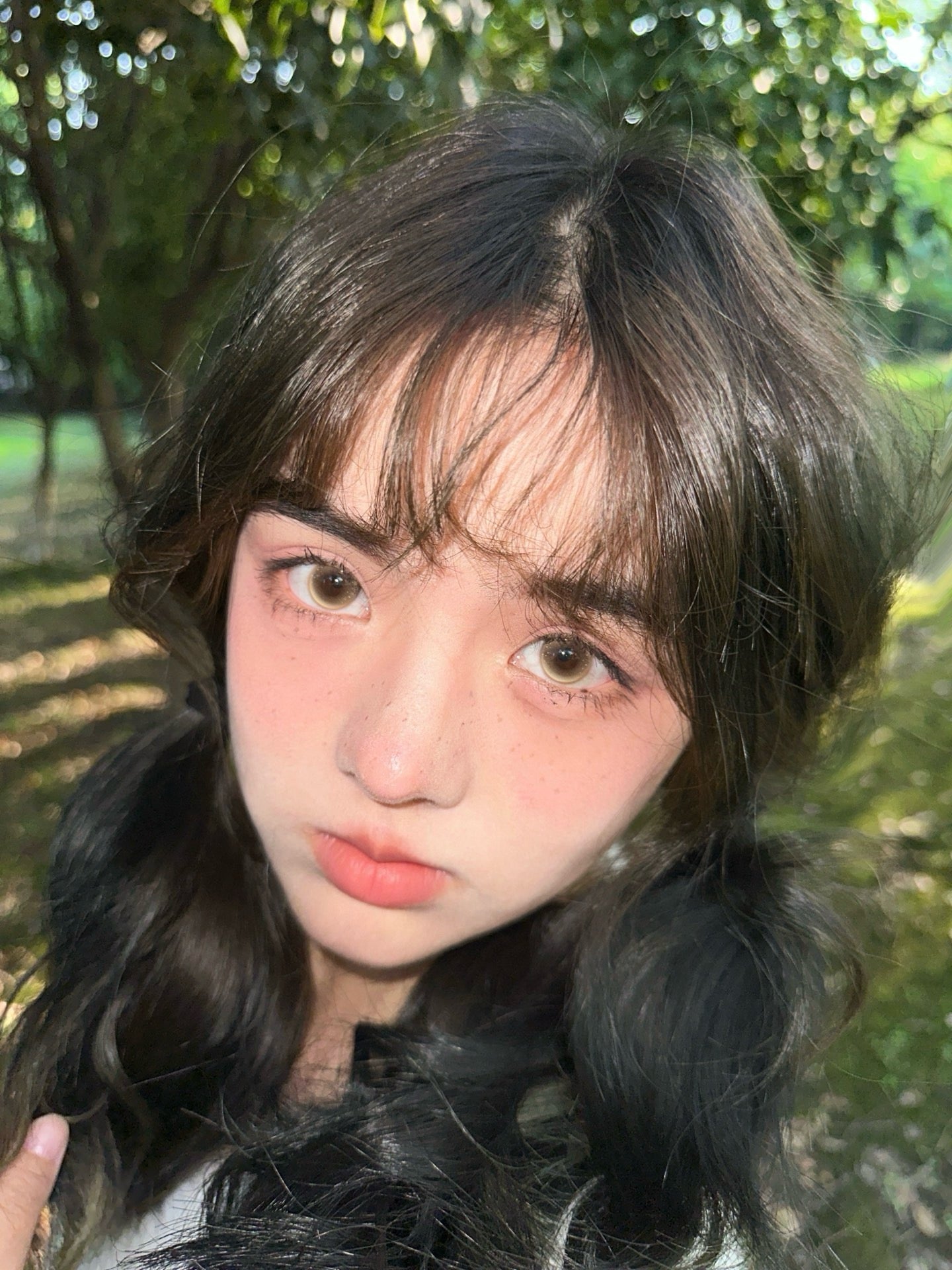 Tanji 人间妲己 14.2mm