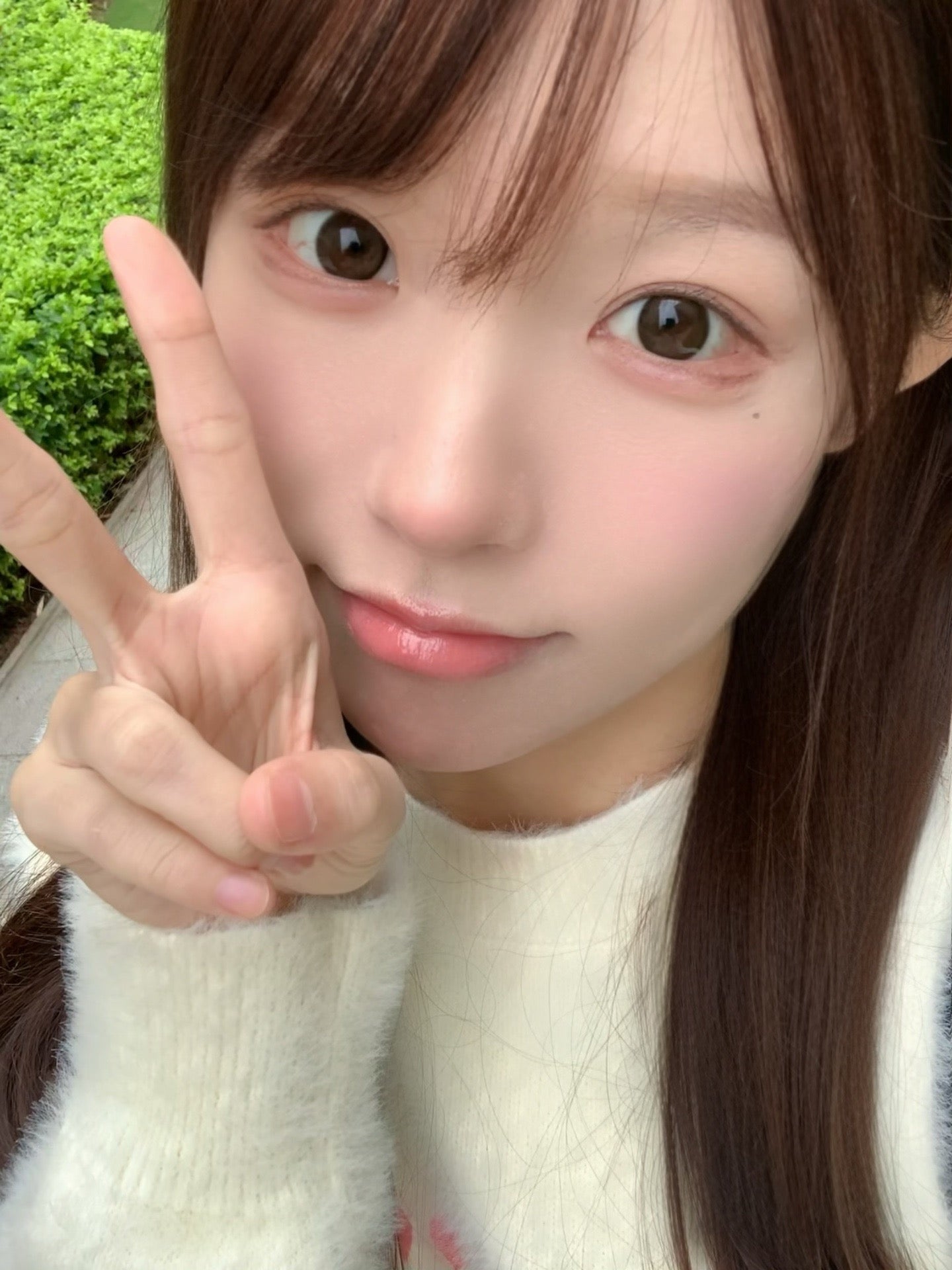 GitrusChoco 微醺甜杏 14.5mm